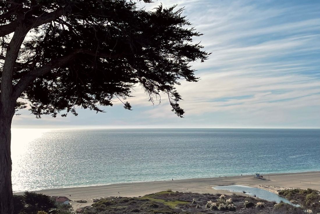 Point Dume Club interior by thinkpure, Malibu, Los Angeles, CA